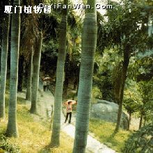 園林植物園圖片