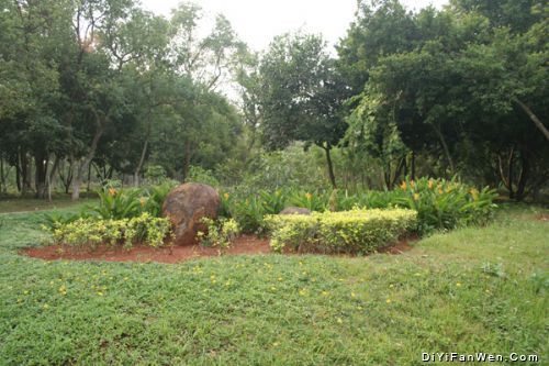 金牛嶺公園圖片