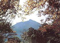 梵淨山風景區圖片