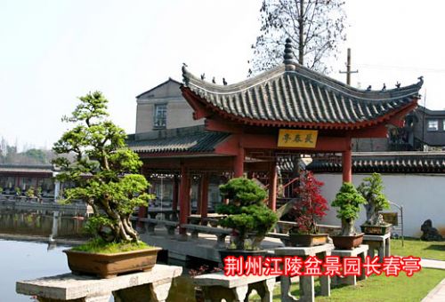 荊州風光圖片