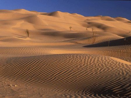撒哈拉沙漠圖片