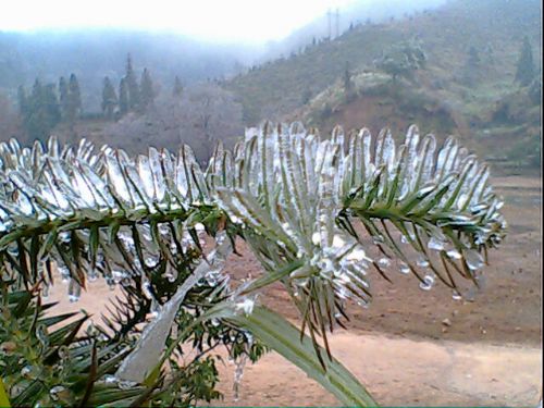 滸坑雪景圖片