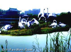 雁灘公園圖片