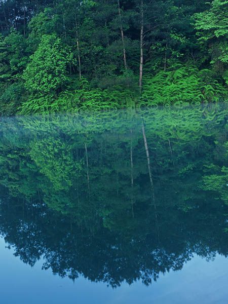 石象湖圖片