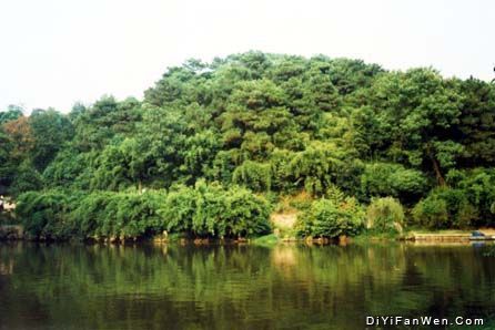 南郊公園圖片