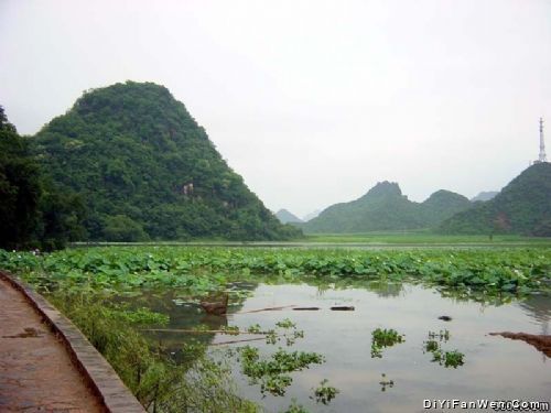 雲南普者黑圖片