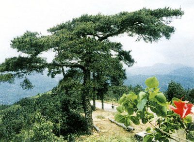 永春牛姆生態旅遊區圖片