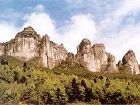 金佛山
