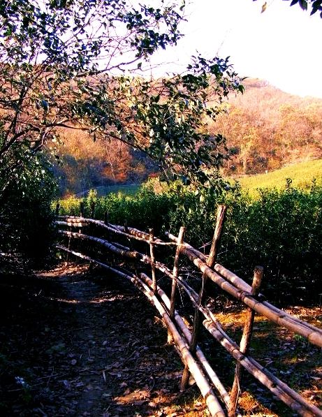 徒步鎮江西津南山圖片