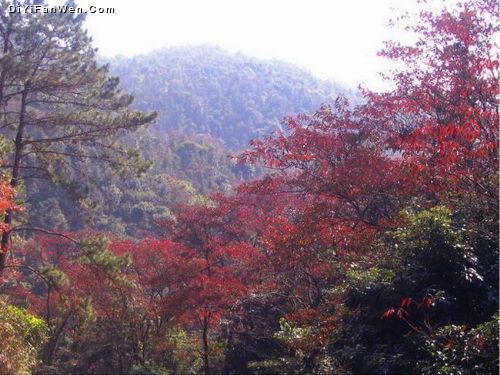 廣東從化石門紅葉美景圖片