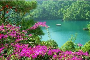 鼎湖山圖片