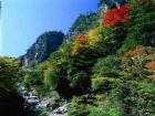 湖北神農架紅坪景區