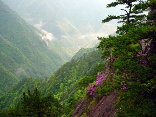 鳳陽山圖片