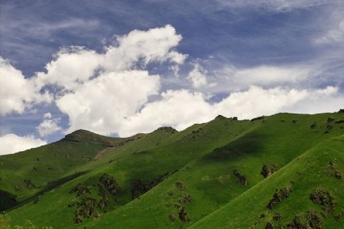新疆伊犁喬爾瑪風光圖片