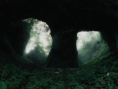 神農架天燕原始生態旅遊區圖片