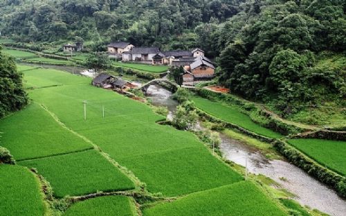 鳳凰古城田園美景圖片