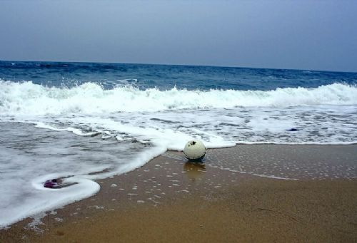 椰島風情圖片