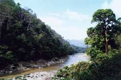 南汀河風光旅遊帶圖片
