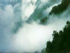 阿里山森林遊樂區