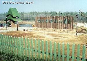 天長森林公園圖片