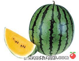 籽瓜