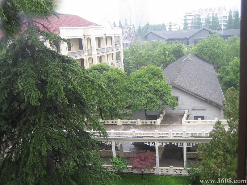 總統府風景圖片