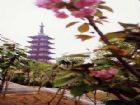 光福塔