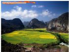 貴州龍宮風景區油菜湖