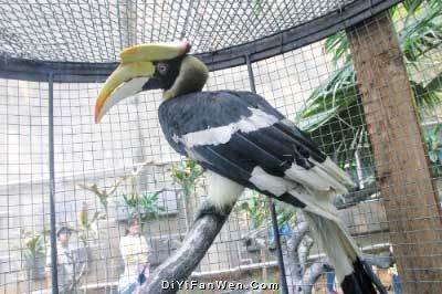 大連森林動物園圖片
