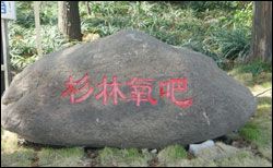 玄武湖公園圖片