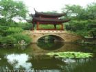 大觀園