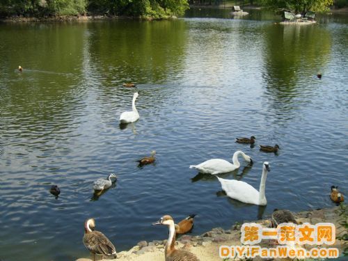 莫斯科動物園圖片
