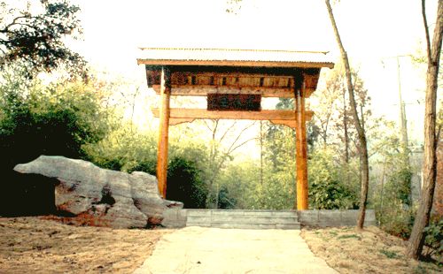 泉山國家森林公園圖片