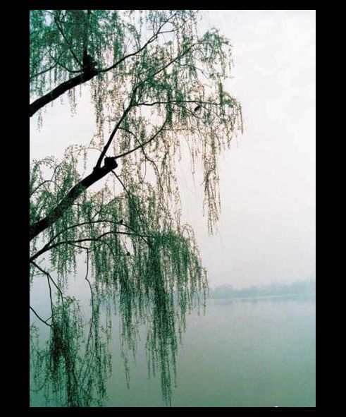 湖南西湖公園圖片