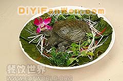 火腿燉甲魚