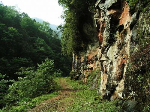 四面山風景名勝區圖片