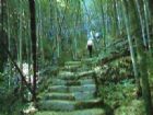 華山遊憩區