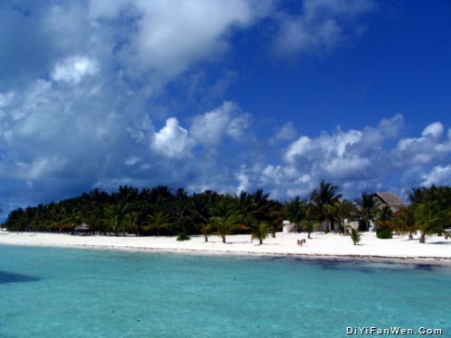 馬爾地夫風景圖片