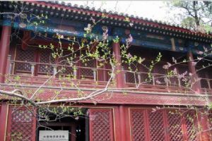 北京大覺寺組圖（1）圖片