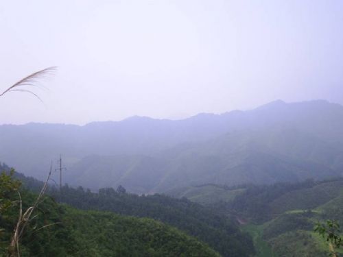 古田山圖片