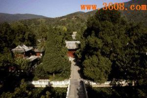 北京臥佛寺（組圖）圖片