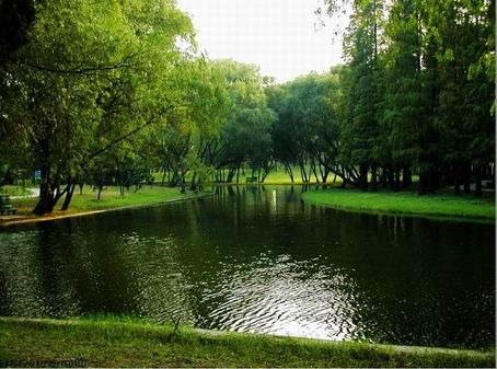 共青森林公園圖片