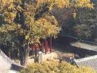 青檀寺