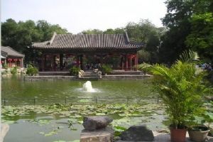 北京恭王府一角（組圖）圖片