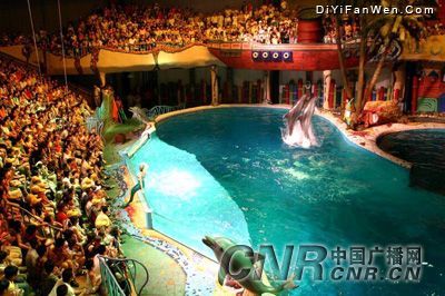 聖亞海洋世界圖片