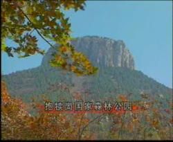 抱犢崮國家森林公園圖片