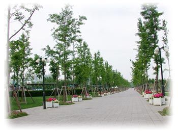 世紀公園圖片
