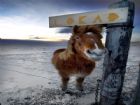 Winterll