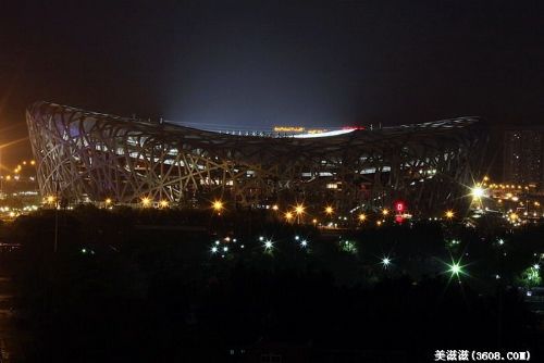 夜色中的鳥巢圖片