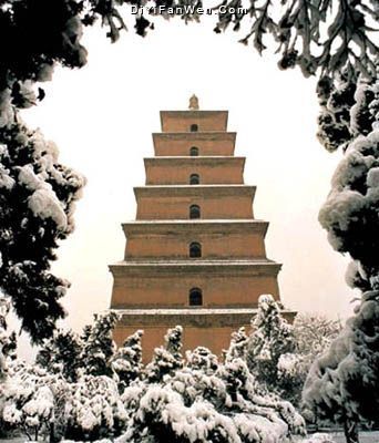 南郊風景區圖片